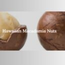 macadamia nuts