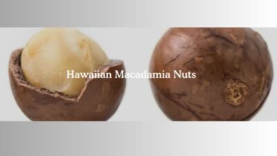 macadamia nuts