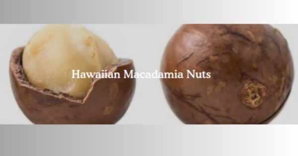 macadamia nuts