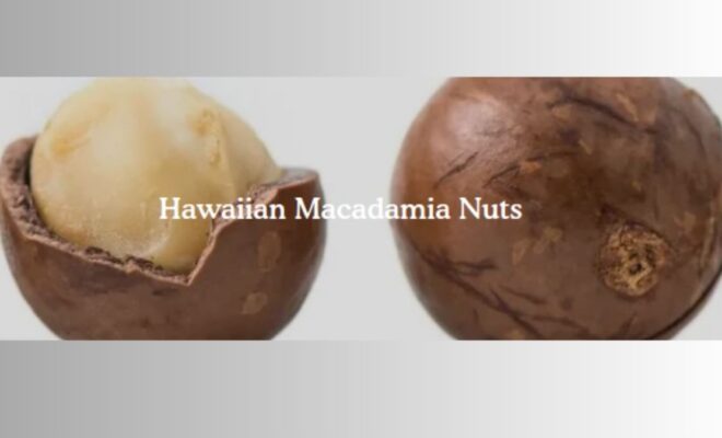 macadamia nuts